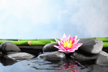 Obraz na płótnie Canvas Beautiful zen garden with lotus flower and pond on light blue background