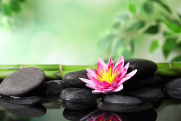 Fototapeta na wymiar Beautiful zen garden with lotus flower and pond on blurred green background