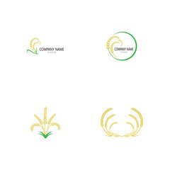 Agriculture wheat Logo Template vector icon design