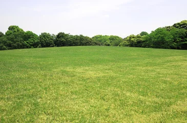 Foto op Plexiglas 新緑　新緑の芝生広場　新緑の草原　芝生広場　草原 © tenboh siyaraku