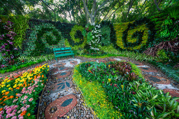 Vertical gardening harmonious with nature in the park.