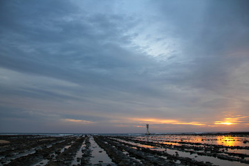 Fototapeta premium 青島