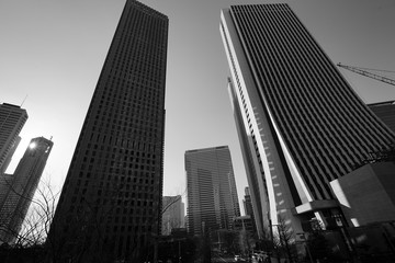 新宿　高層ビル　青空　見上げる　広角　白黒　モノクロ　逆光