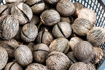 Thai pavilion in the water.