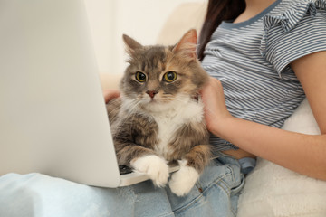 Cute little girl with laptop and cat at home, closeup. First pet