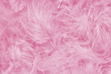 Beautiful pink trendy feather texture background. Soft and gentle pattern. Bohemian boho style.