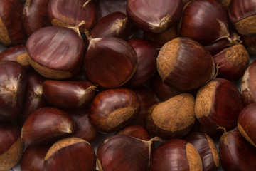 tasty group of chestnuts isolated