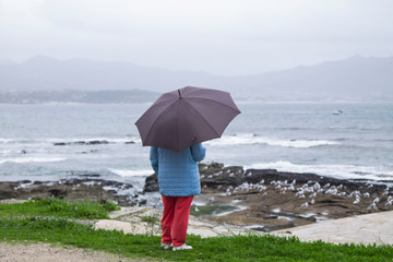 woman with umbrella looking at the sea