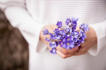 Top view on the hands of a woman with a bouquet of wild snowdrops. Spring flowers in the hands of the girl. spring mood.