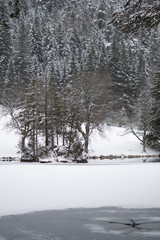 Schneelandschaft mit Burg im Hintergrund und See und Wald im Vordergrund am Fernsteinsee in Österreich Tirol 