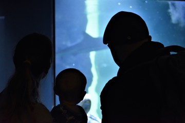 Silhouette of a young family in front of a shark aquarium