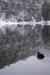 Schneelandschaft mit Burg im Hintergrund und See und Wald im Vordergrund am Fernsteinsee in Österreich Tirol 