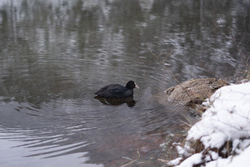 Schneelandschaft mit Burg im Hintergrund und See und Wald im Vordergrund am Fernsteinsee in Österreich Tirol 