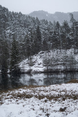 Schneelandschaft mit Burg im Hintergrund und See und Wald im Vordergrund am Fernsteinsee in Österreich Tirol 