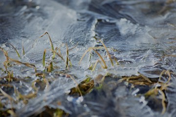 ice cover on grass close up