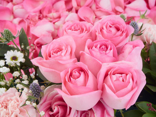 Close-up of beautiful pink roses.