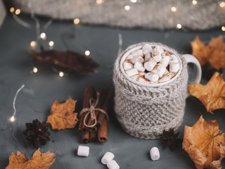 Hot chocolate autumn and winter drink with marshmallows and cinnamon on the table with dry yellow autumn maple leaves