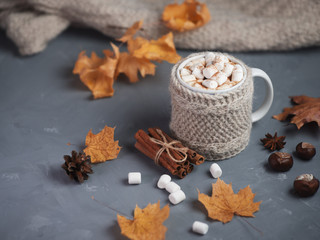 Hot chocolate autumn and winter drink with marshmallows and cinnamon on the table with dry yellow autumn maple leaves
