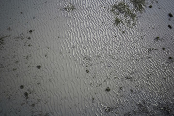 Background image. Sand seabed top view for background and texture