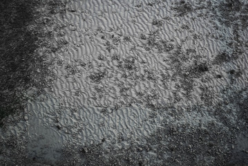 Background image. Sand seabed top view for background and texture