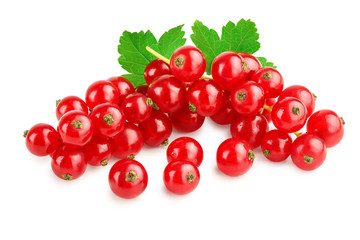 Red currant berries with leaf isolated on white background