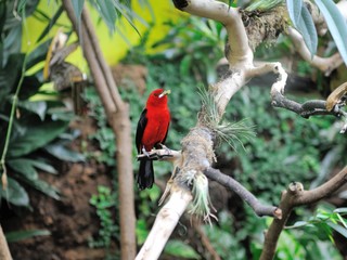 Copenhagen Zoo