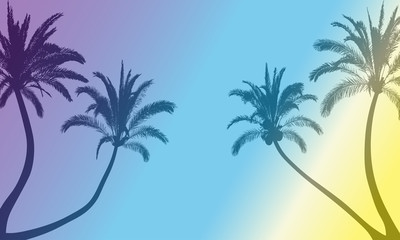 Fototapeta na wymiar Summer frame of silhouette of palm trees. Background for text. Sale, party and etc. Vector illustration. Applied clipping mask.