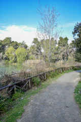 Pescara Reserve by Morning with Lake