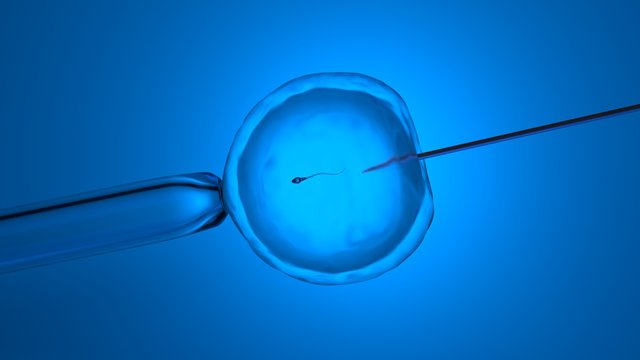 In vitro fertilization or artificial insemination, 3D-rendering