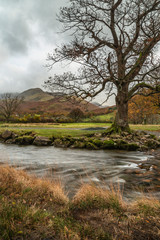 Dramatic Autumn Fall landscape image of stream flowing over rocks during moody Autumn Fall morning