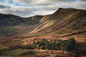 Beautiful landscape image of Autumn Fall with vibrant pine and larch trees against majestic setting of Hawes Water and High Stile peak in Lake District