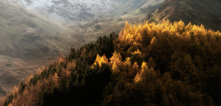 Beautiful landscape image of Autumn Fall with vibrant pine and larch trees against majestic setting of Hawes Water and High Stile peak in Lake District