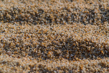 sand texture closeup, macro, background