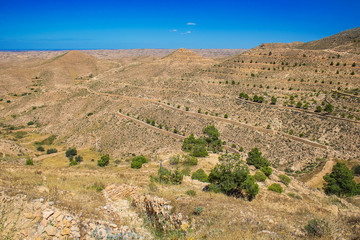 Desert landscape with olive trees near Matmata in the south of Tunisia, North Africa
