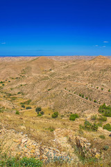 Desert landscape with olive trees near Matmata in the south of Tunisia, North Africa