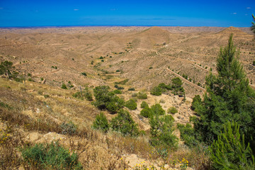 Desert landscape with olive trees near Matmata in the south of Tunisia, North Africa