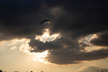 In the evening, sunlight is radiating through the clouds.