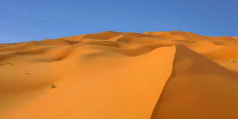 Fototapeta na wymiar Panoramique des dunes ocre du sahara marocain