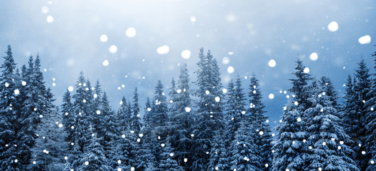 Hintergrund mit Textfreiraum für Weihnachten, Neujahr, und Winterzeit, Banner Wald mit...