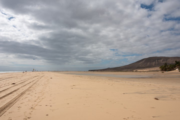 Fototapeta na wymiar Playa de Sotavento - wide beach during low tide under cloudy sky. Kite surfers in the background. Costa Calma, Fuerteventura, Canary Islands, Spain. 