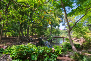 新緑の六義園 千鳥橋