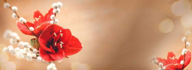 Weihnachten - Weihnachtlicher Banner mit roter Amaryllis 