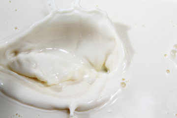 Fototapeta na wymiar Close up of milk splash