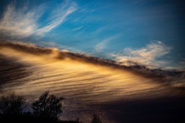 Fototapeta premium A dramatic sunset over silhouetted trees with orange, gold, and red clouds.