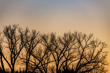 A dramatic sunset over silhouetted trees with orange, gold, and red clouds.
