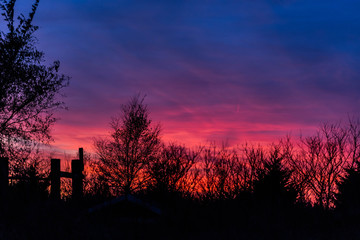 A dramatic sunset over silhouetted trees with purple, gold, and red clouds.