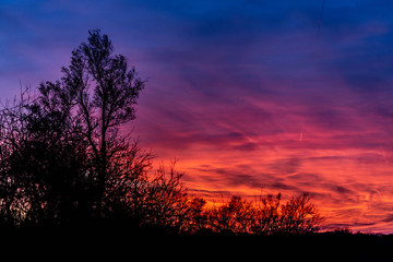 A dramatic sunset over silhouetted trees with blue, gold, and red clouds.