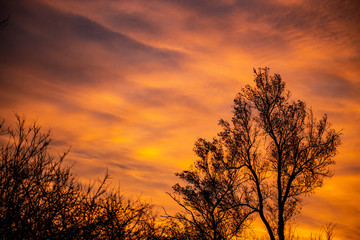 A dramatic sunset over silhouetted trees with orange, gold, and red clouds.