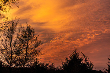 Golden sunset over a rural landscape and countryside with trees silhouetted