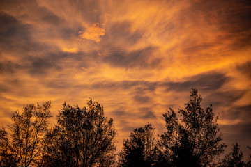 Obraz premium Golden sunset over a rural landscape and countryside with trees silhouetted